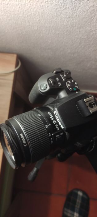 Máquina fotográfica Canon EOS 250D + objetiva + bolsa + tripé