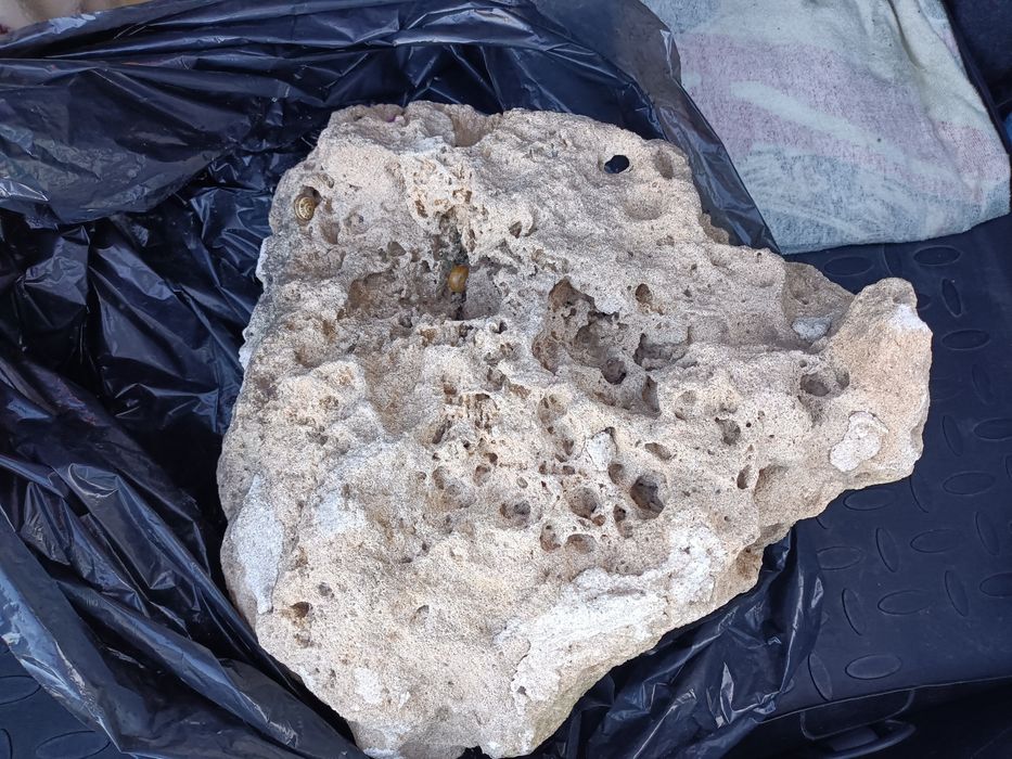 Rocha calcária para aquário