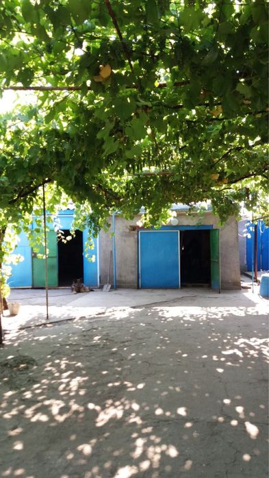 Продаж дома в Татарбунарах.СРОЧНО!