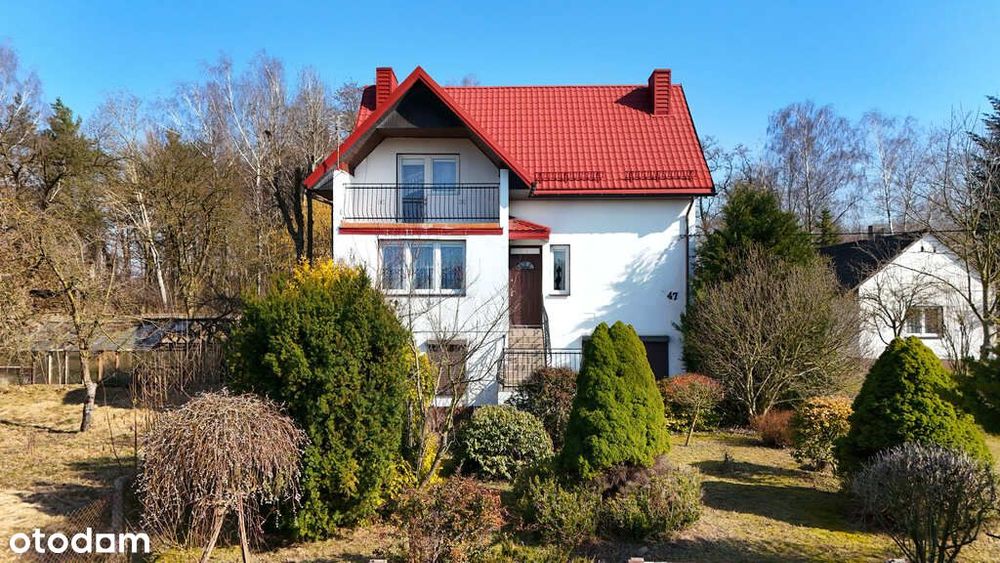 Dom z działką 1,2 ha i lasem – Mierzynów