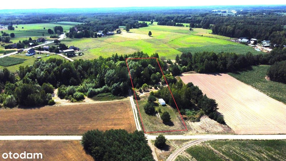 Działka 5900 m² na Kurpiach - bez sąsiadów !!