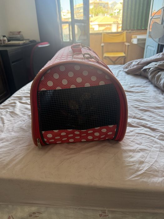 Bolsa para pet 50€