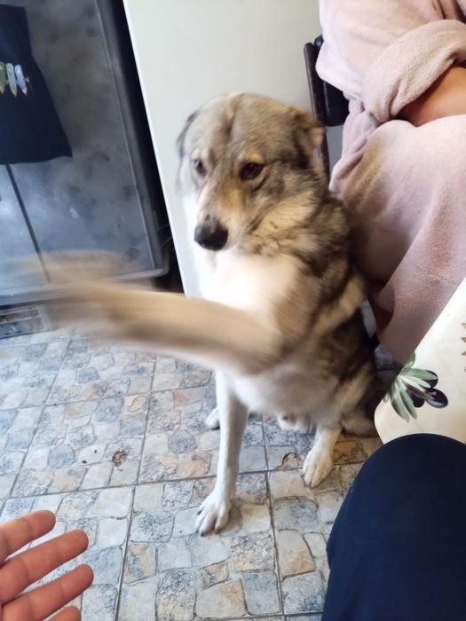 Шукаю дівчину для хлопчика