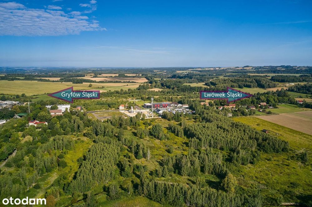 Zdjęcie 6