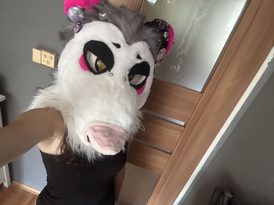 Furry fursuit opos