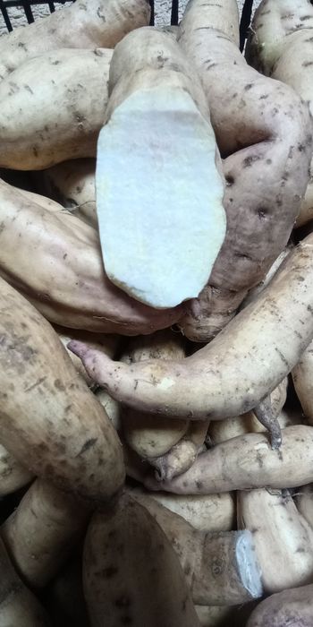 Дієтичний екологічний Батат