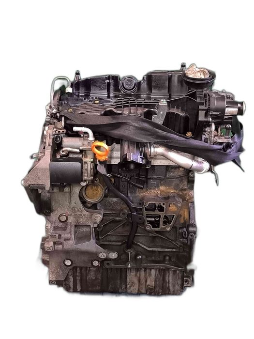 Motor Completo VW GOLF VI 1.6 TDI (77 kW / 105 cv) [02.2009 - 11.2012] CAY (OEM)