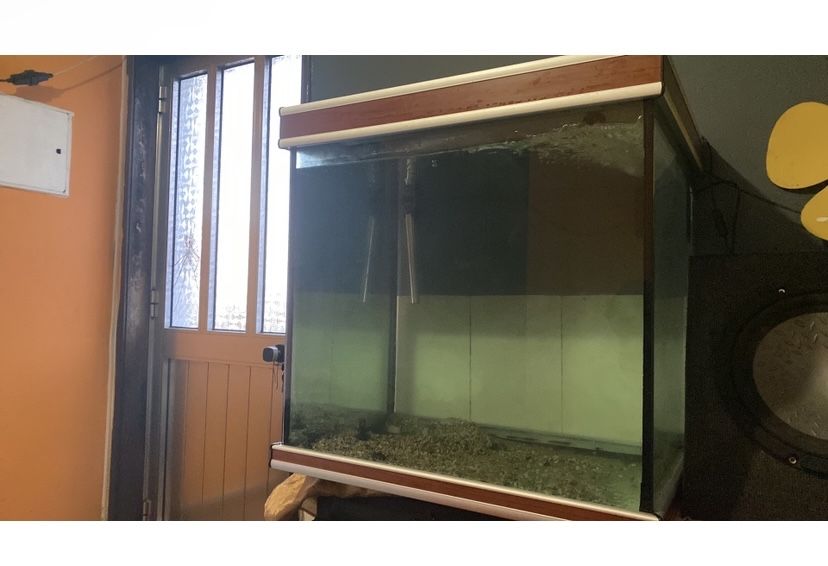 Aquario/terrario 250 litros