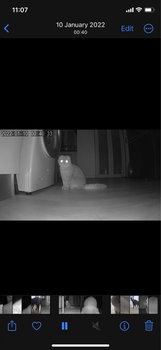 Automatic feeder with camera64552637607937121