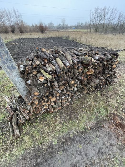 Продам дрова слива, вишня, яблуня