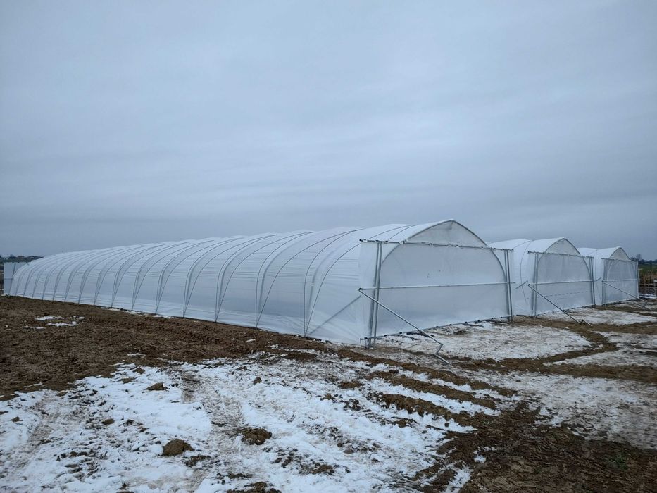 Konstrukcja tunelu foliowego 7-7,5m x 30m gotyk