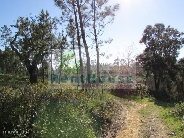 Terreno Para Construção Junto a Coimbra