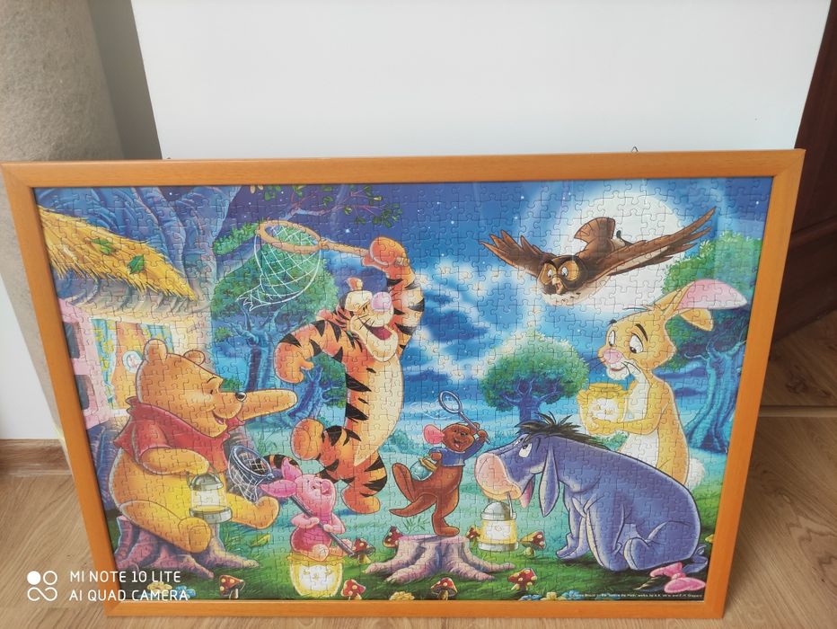 Obraz z puzzli 1000szt