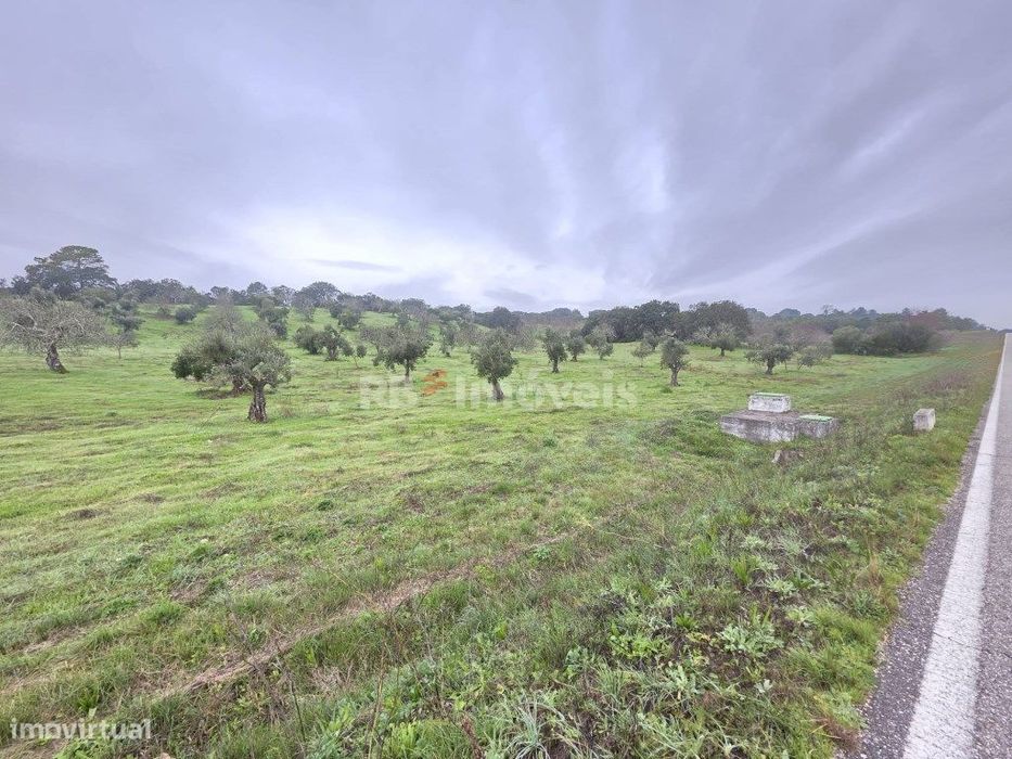 Terreno rústico com malha urbana - Vila do Paço, Torres Novas