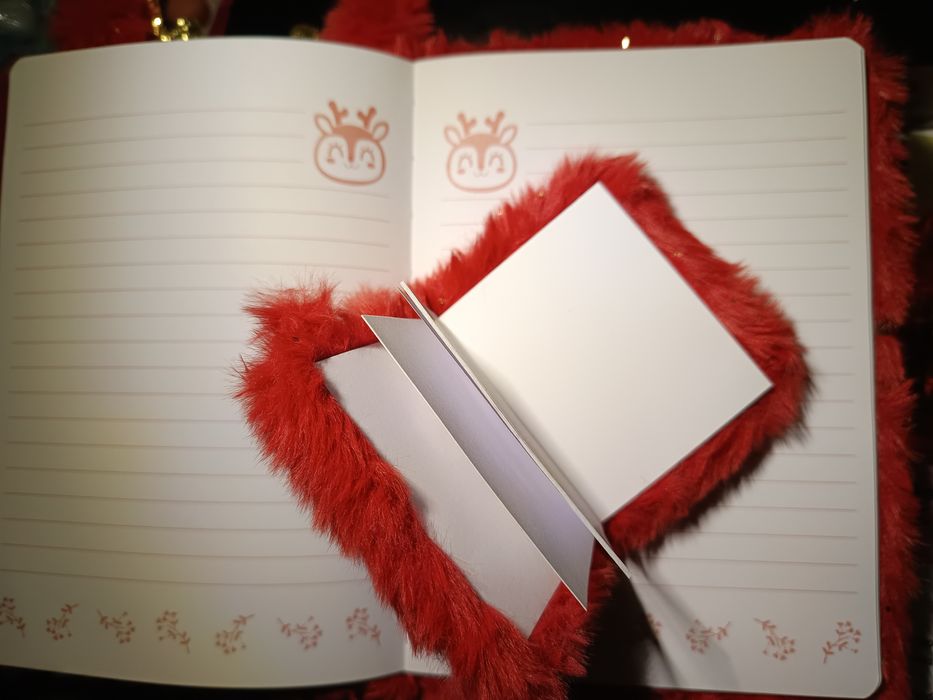 2 cadernos com capas de peluche