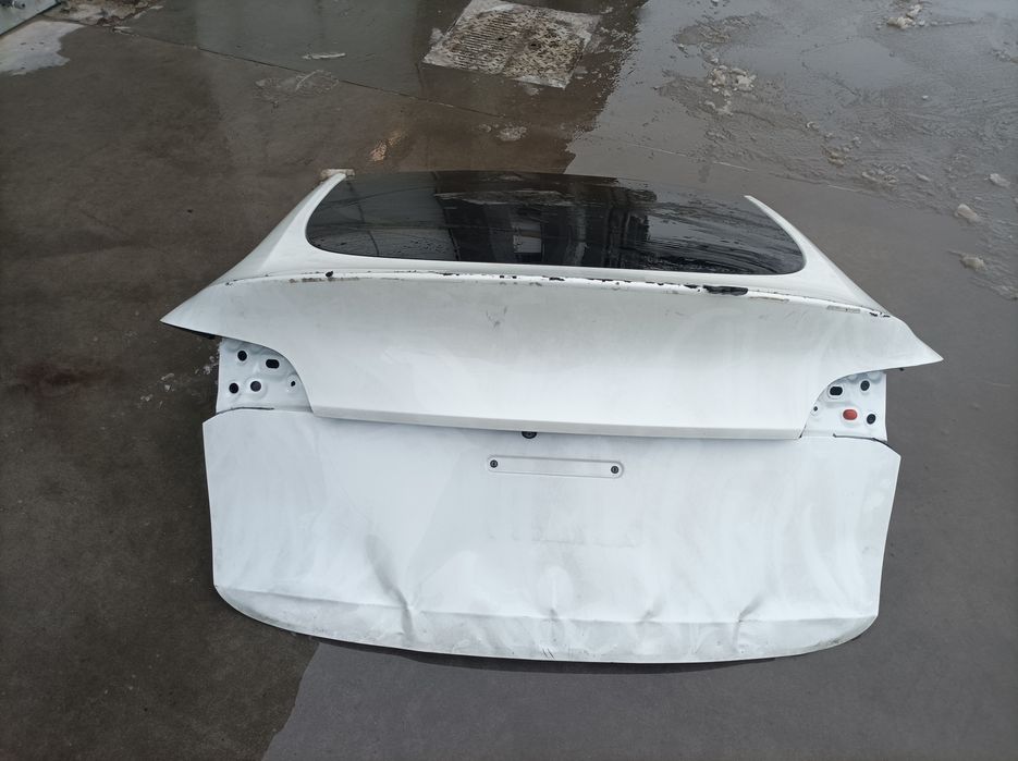 Капот та кришка багажника, скло кришки багажника на Тесла х