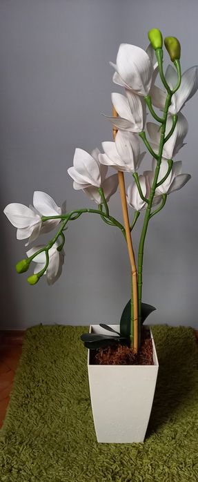 Sztuczny Storczyk w doniczce duży 72cm biały