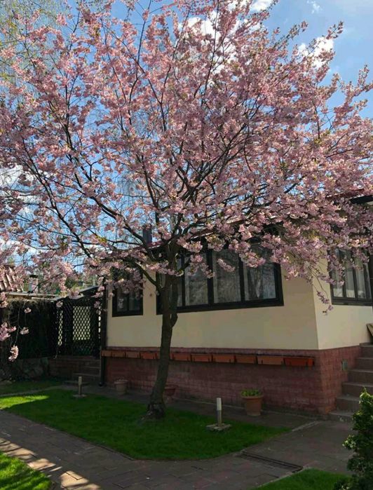 Продаётся дом с выходом к воде Коробовы Хутора