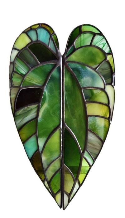 Anthurium Crystallinum var. Вітражний лист антуріума
