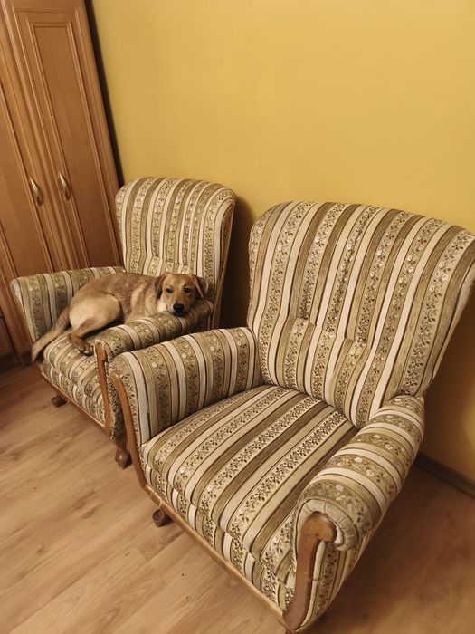 Zestaw dwóch foteli wygodne