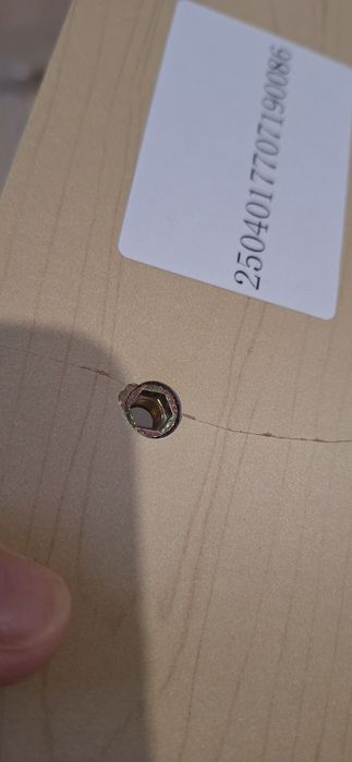 Esteira (roda) para gatos