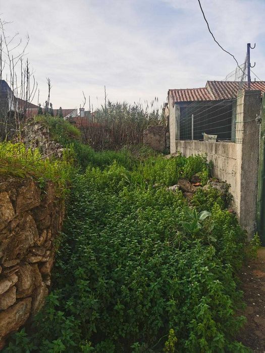 Lote Terreno Urbano 260 m² em Canedo (Mealhada) – A1/IC2