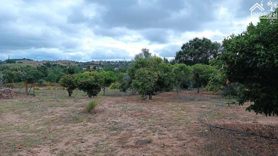 Quinta em Santarém (16,165HA)