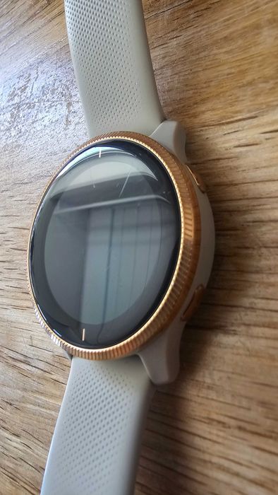 Smartwatch Garmin Venu