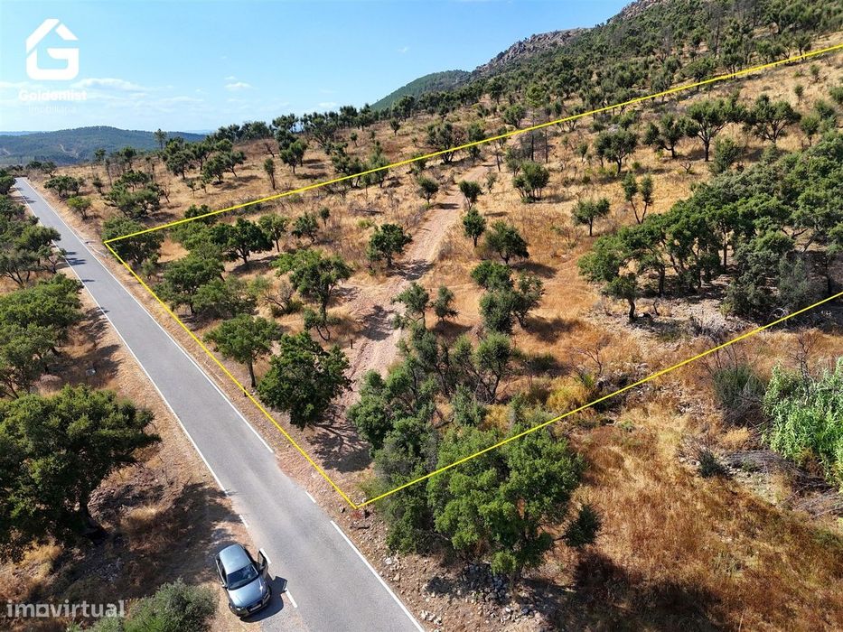 Terreno  Venda em Espírito Santo, Nossa Senhora da Graça e São Simão,N