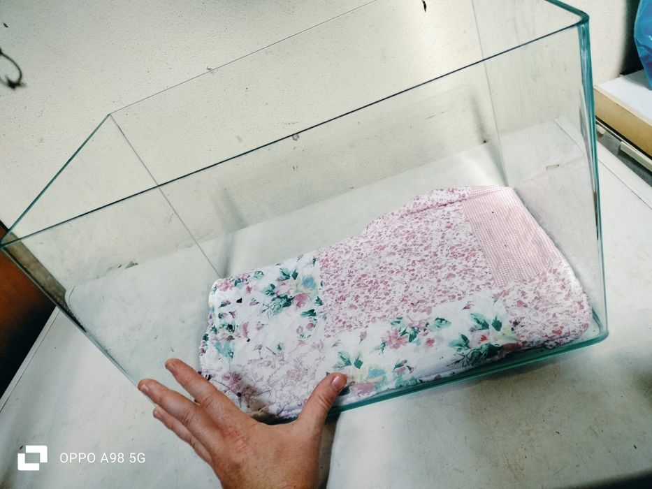 Aquário de 30 litros