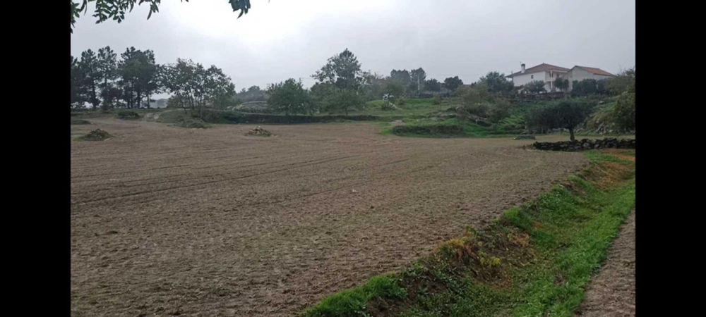 Terreno com 1,6h e viabilidade de construção apoio agricola