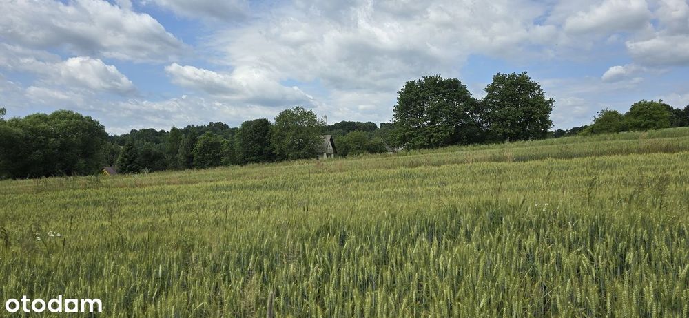 Działka  Podolany 10 km od Skawiny
