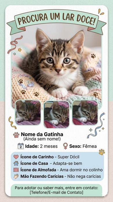 Adoção urgente de gatinhos de 2 meses