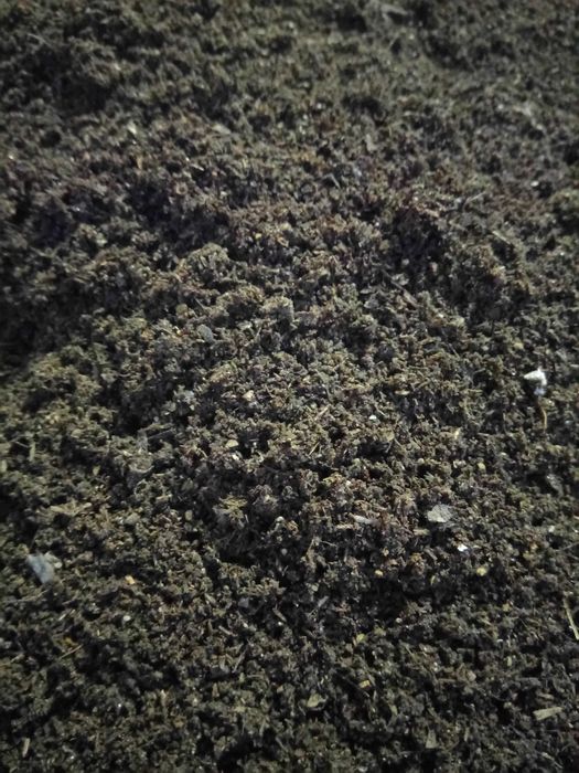 Навоз куриный чистый без соломы