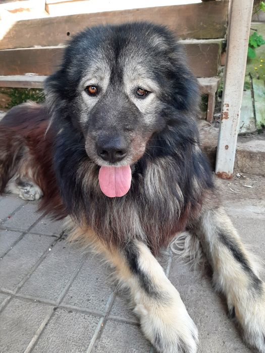 Красивый парень ищет невесту