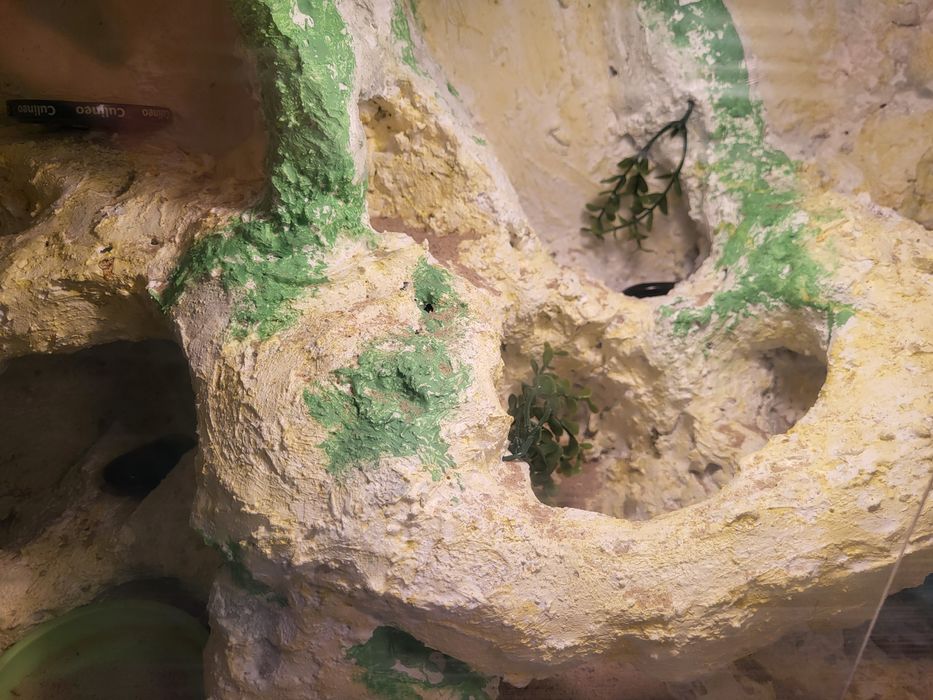 Terrarium samorobne