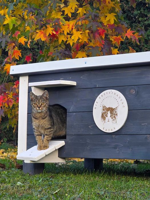 Wielofunkcyjny ocieplany domek dla kota/ buda dla kota