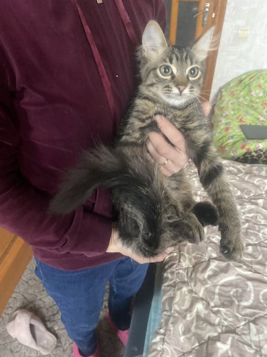 Лучший родарочек