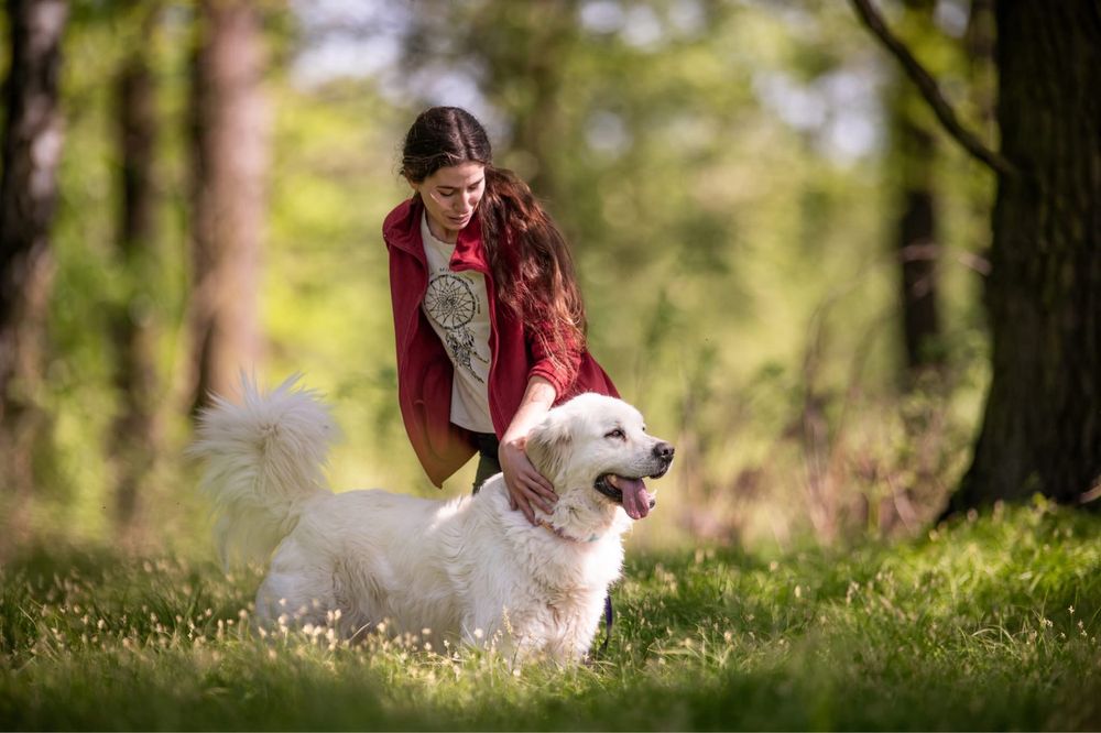 Nazir szuka domu! Adopcja