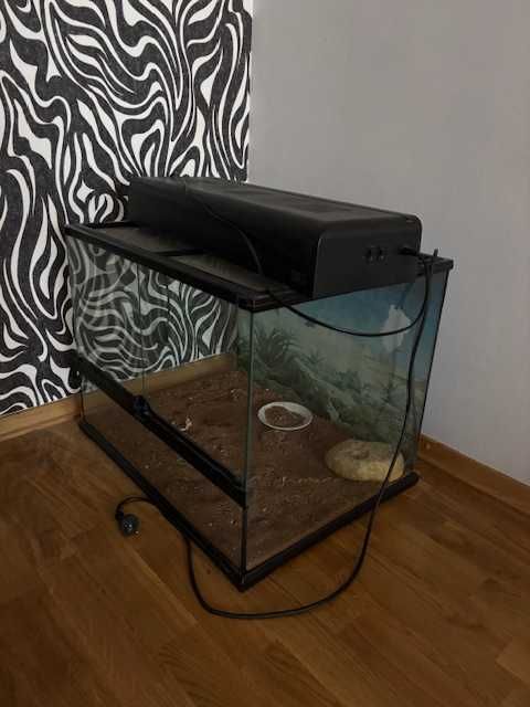 Тераріум для  рептилій