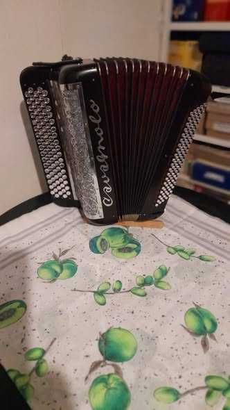 Acordeon para venda