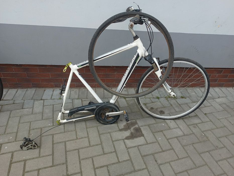 Rama rowerowa Pegasus 28