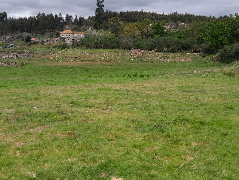 Quinta de 3 hectares em localização espectacular