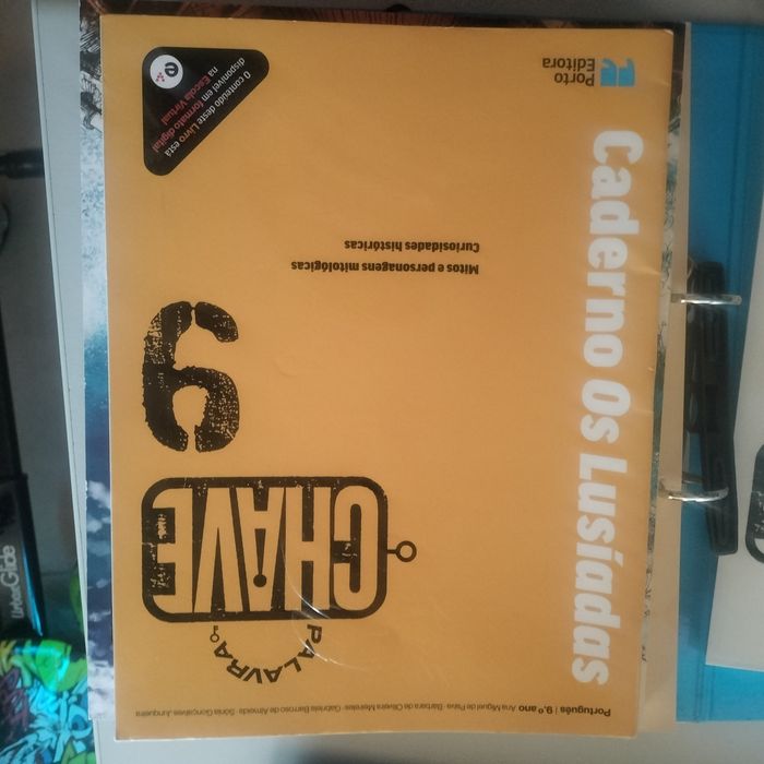 Manual e caderno de atividades de português 9⁰ ano