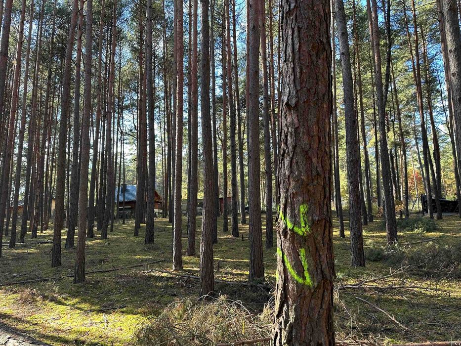 Życiny /Zalew Chańcz/ działki rekreacyjne