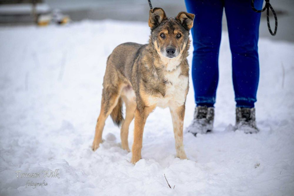 Bezulek nie chce odejść za kratami