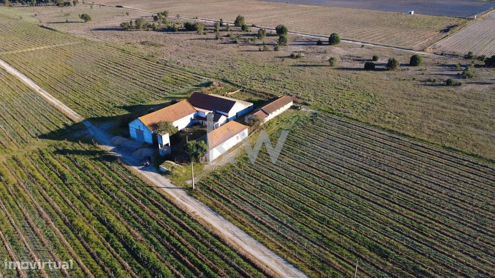 Quinta - Vinícola