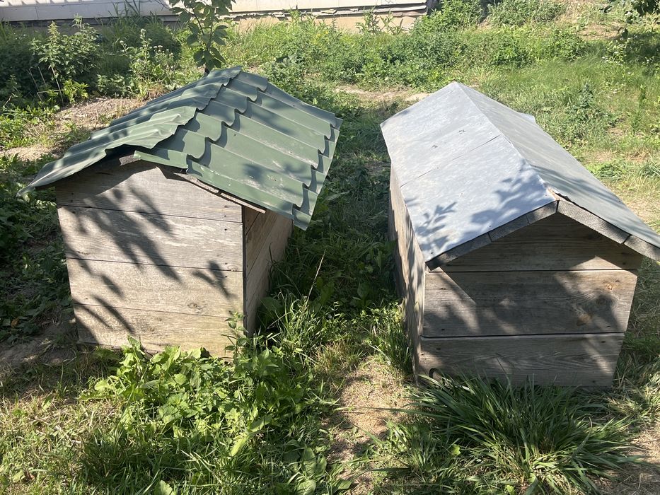 Продам дерев’яні будки для собак – 2 шт.