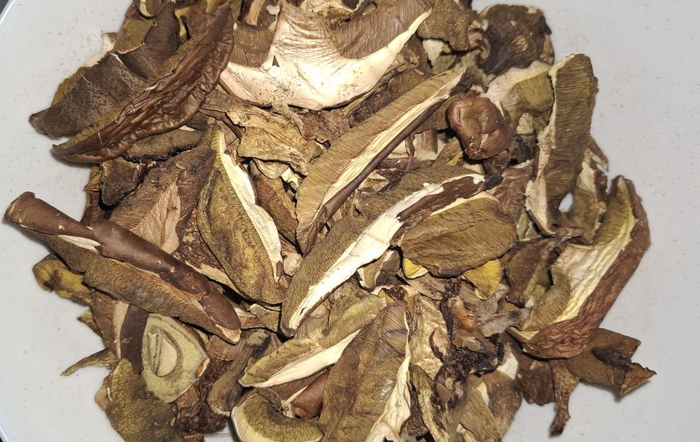 Podgrzybek suszony plastry