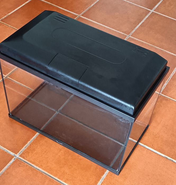 Aquário grande peixes